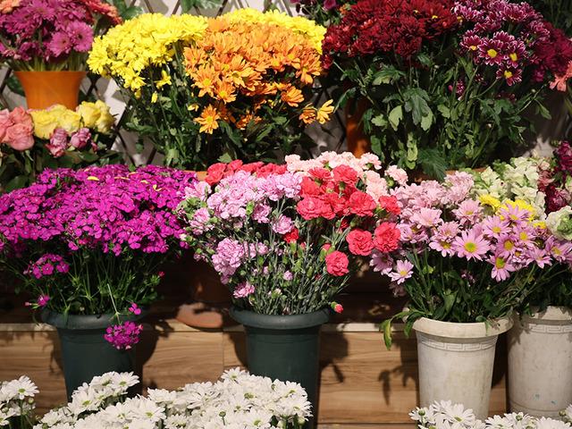 D&uuml;ğ&uuml;n sezonu &ouml;ncesi &ccedil;i&ccedil;ek&ccedil;ilerde yoğun mesai