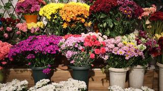 Düğün sezonu öncesi çiçekçilerde yoğun mesai