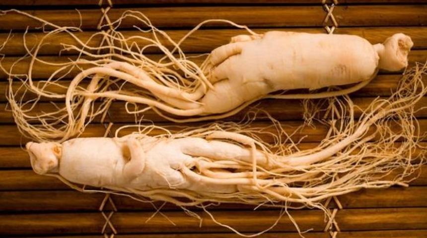 Bu bitkilere dikkat! &Ouml;l&uuml;me g&ouml;t&uuml;rebilir