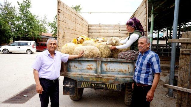 Sarıgöl’de iki genç çiftçi küçükbaş hayvanlarına kavuştu