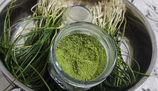 Doğal hazine! Bu otu toplayan 15 bin liraya satıyor