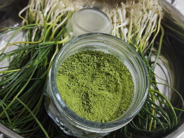 Doğal hazine! Bu otu toplayan 15 bin liraya satıyor