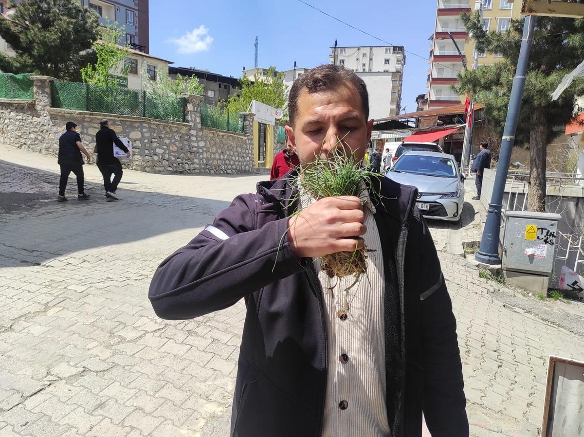 Kendiliğinden yetişen doğal hazine! Bu otu toplayan 15 bin liraya satıyor 3