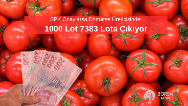 SPK Onaylarsa MERKO'da 1000 Lot 7383 Lota &Ccedil;ıkıyor