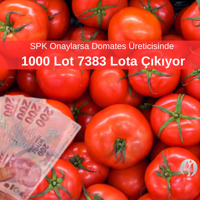 SPK Onaylarsa MERKO'da 1000 Lot 7383 Lota &Ccedil;ıkıyor