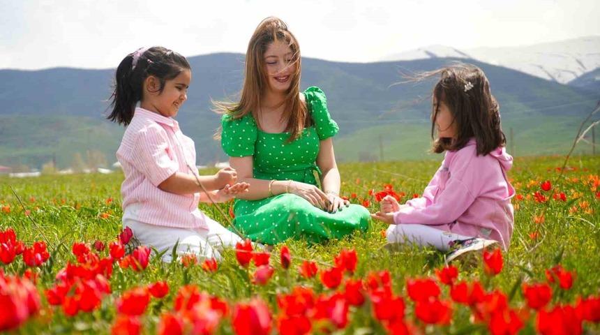 Muş lalesi ovayı kırmızıya boyadı