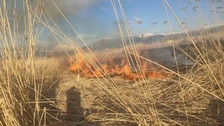 Van’ın Muradiye ilçesinde sazlık yangını