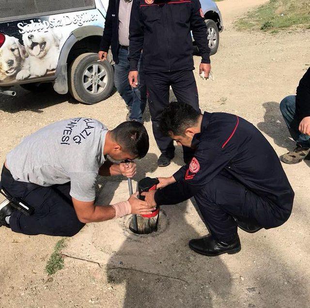 Kanalizasyon çukuruna düşen yavru köpeği itfaiye kurtardı