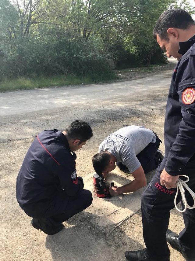 Kanalizasyon çukuruna düşen yavru köpeği itfaiye kurtardı