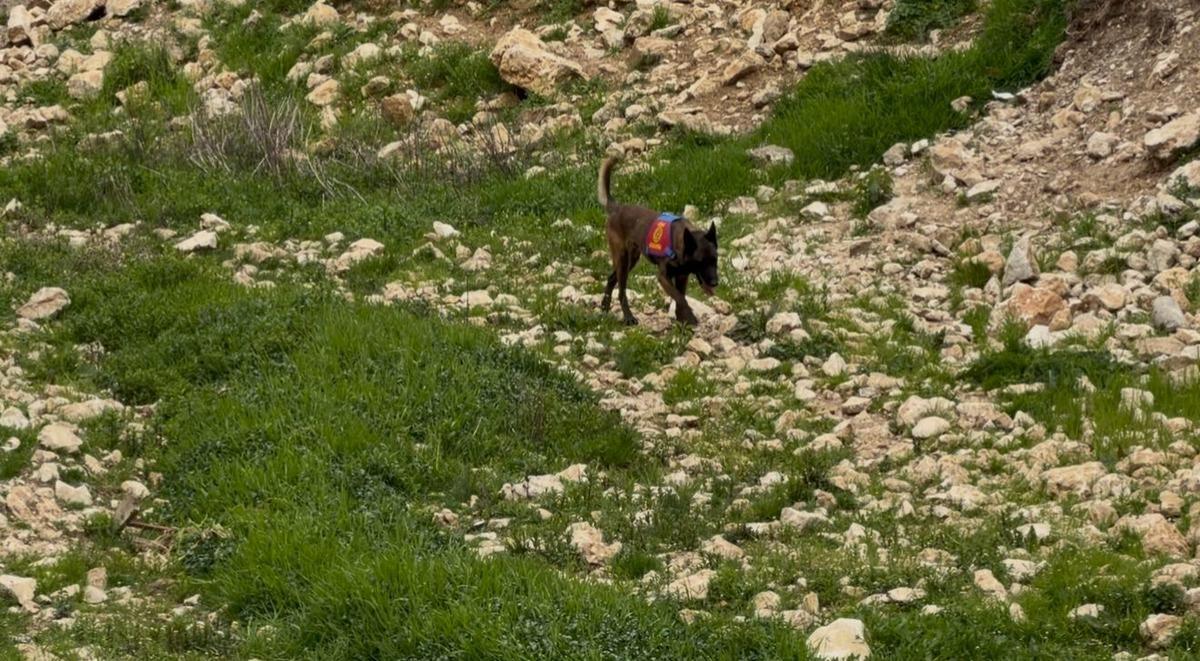 JAK VE JASAT ekipleri sahada! G&uuml;listan Doku nun cansız bedeni i&ccedil;in geniş &ccedil;aplı arama 9