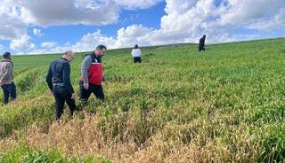 Batman&rsquo;da &ccedil;ift&ccedil;ilere &rsquo;yanlış ila&ccedil;lama&rsquo; uyarısı