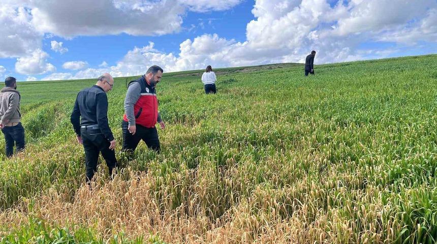 Batman&rsquo;da &ccedil;ift&ccedil;ilere &rsquo;yanlış ila&ccedil;lama&rsquo; uyarısı