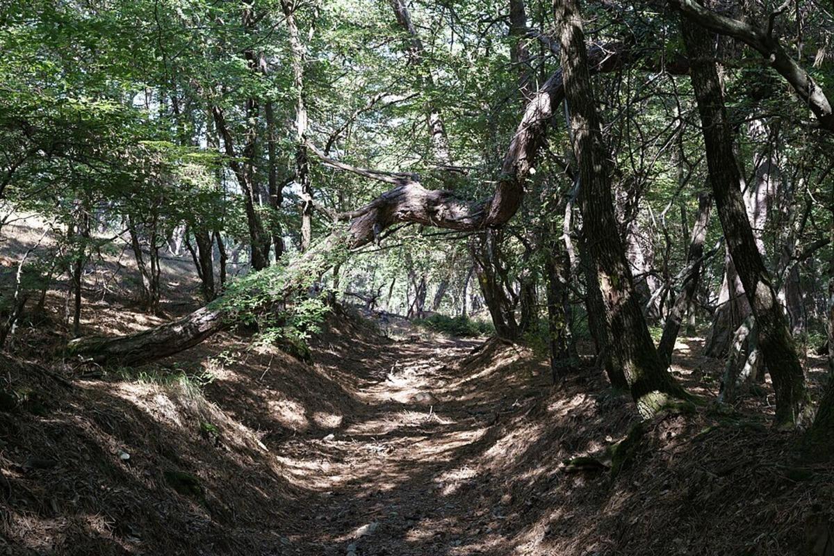 İstanbul&rsquo;a 1 saat uzaklıktaki k&ouml;ye taşınanlara 500 bin &ouml;deme yapılacaktı! Sonu&ccedil; h&uuml;sran... 2