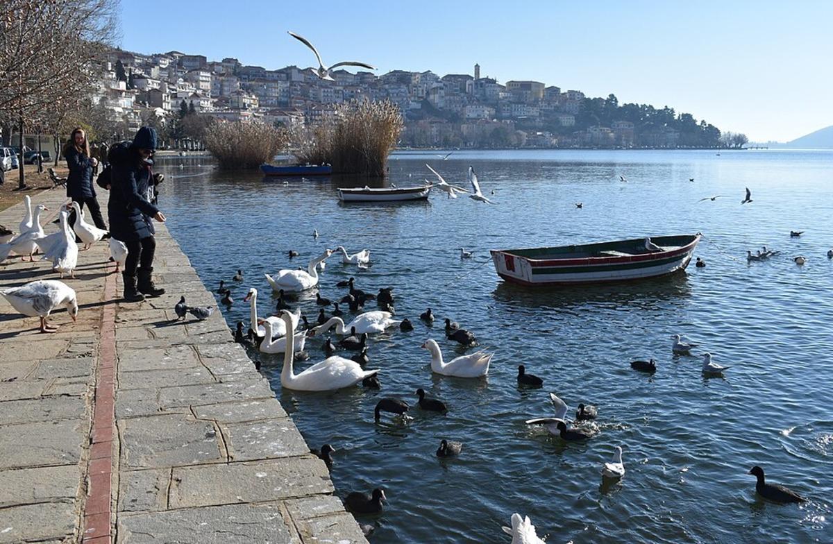 İstanbul&rsquo;a 1 saat uzaklıktaki k&ouml;ye taşınanlara 500 bin &ouml;deme yapılacaktı! Sonu&ccedil; h&uuml;sran... 4