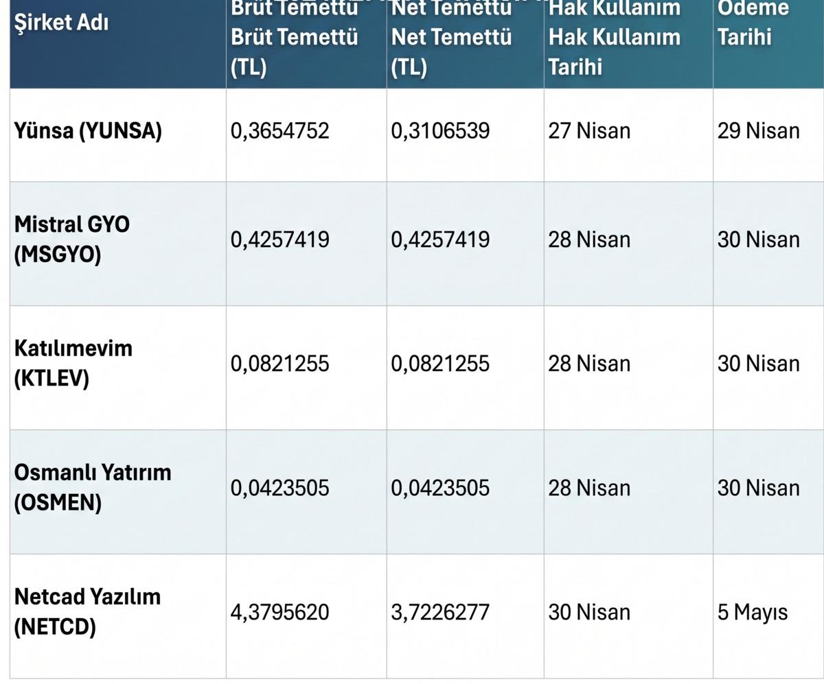 Haftaya 5 şirket kasasını a&ccedil;ıyor: Yatırımcılara temett&uuml; verilecek, G&ouml;rsel 2
