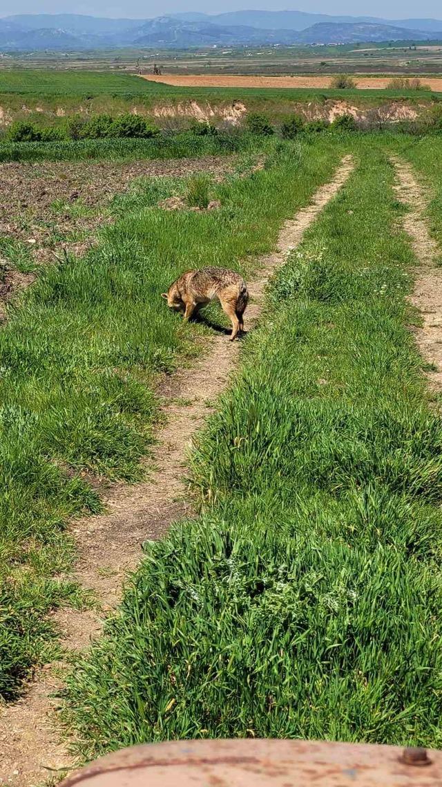 Edirne&rsquo;de a&ccedil; kalan &ccedil;akal k&ouml;ye indi 3