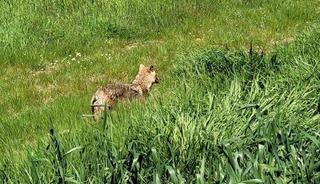 Edirne&rsquo;de a&ccedil; kalan &ccedil;akal k&ouml;ye indi