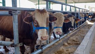 Bayram &ouml;ncesi Bakanlıktan tedbir! Bu uyarılara dikkat