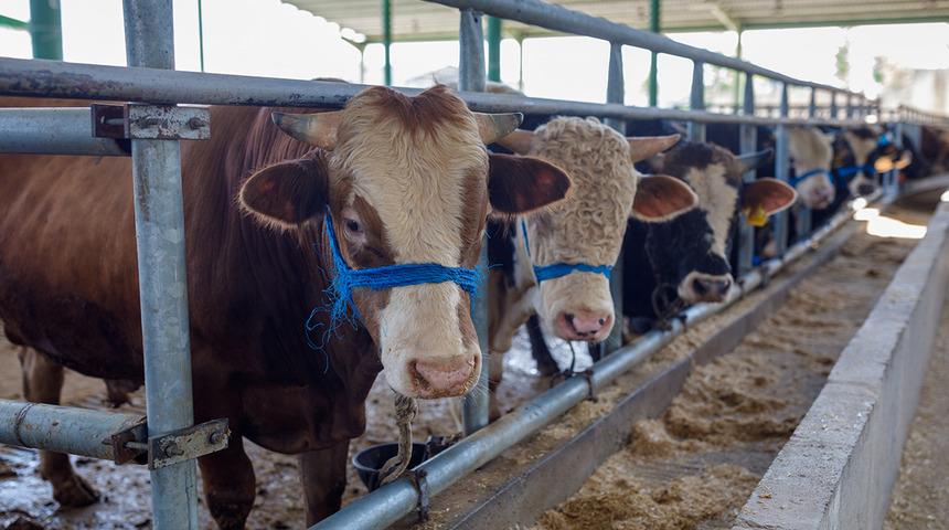 Bayram &ouml;ncesi Bakanlıktan tedbir! Bu uyarılara dikkat