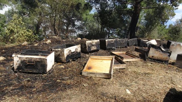 Zeytinlikte çıkan yangın, ormana sıçramadan söndürüldü