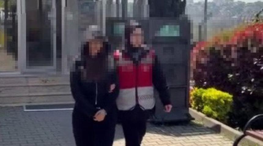 K&ouml;peği camdan sarkıttı, o anları kayda aldı