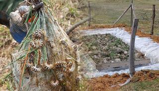 M&uuml;cadele başladı! Tek tek toplanıp imha ediliyor
