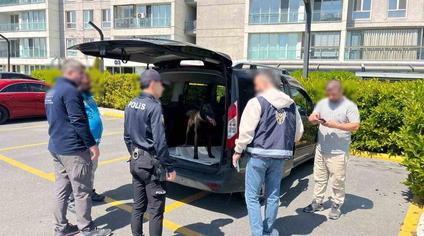 Avcılar&rsquo;da k&ouml;peğe k&ouml;t&uuml; muamelede bulunan şahıs yakalandı