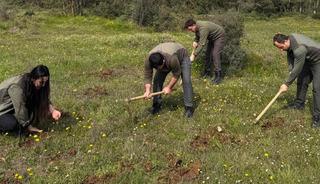 Nesli tehlike altında! İzinsiz salep orkidesi toplayan kişiye 699 bin lira ceza