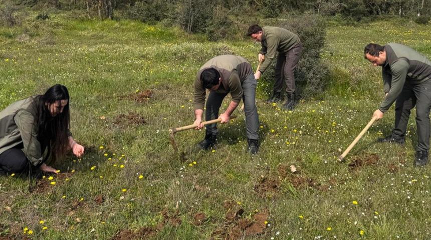 Nesli tehlike altında! İzinsiz salep orkidesi toplayan kişiye 699 bin lira ceza