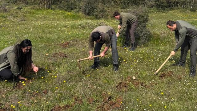Nesli tehlike altında! İzinsiz salep orkidesi toplayan kişiye 699 bin lira ceza