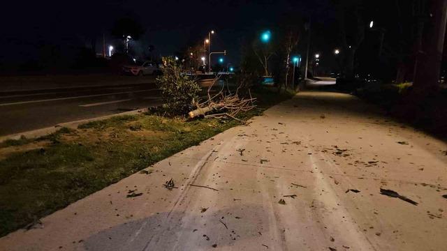 Yoldan &ccedil;ıkan otomobil taklalar atarak parka savruldu: 1 yaralı 6