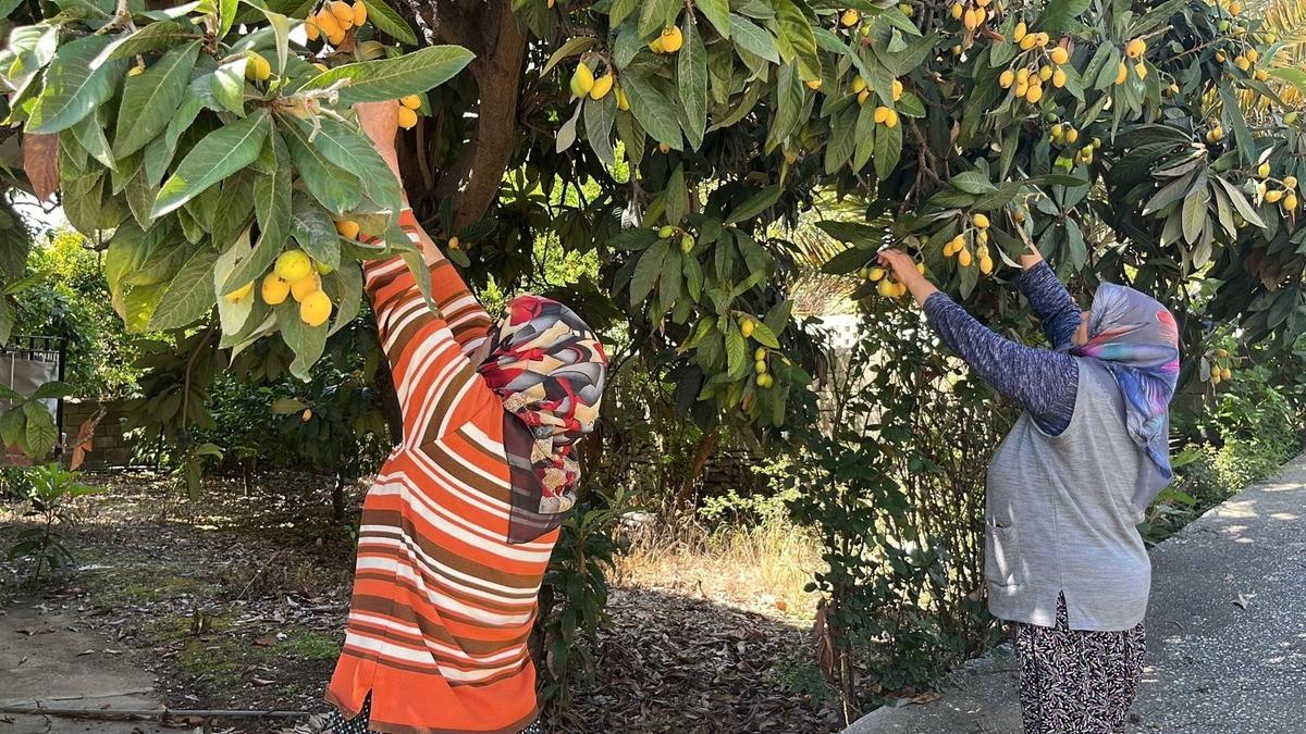 Bir zamanların g&ouml;zdesiydi, şimdi &uuml;cretsiz dağıtılıyor!  1