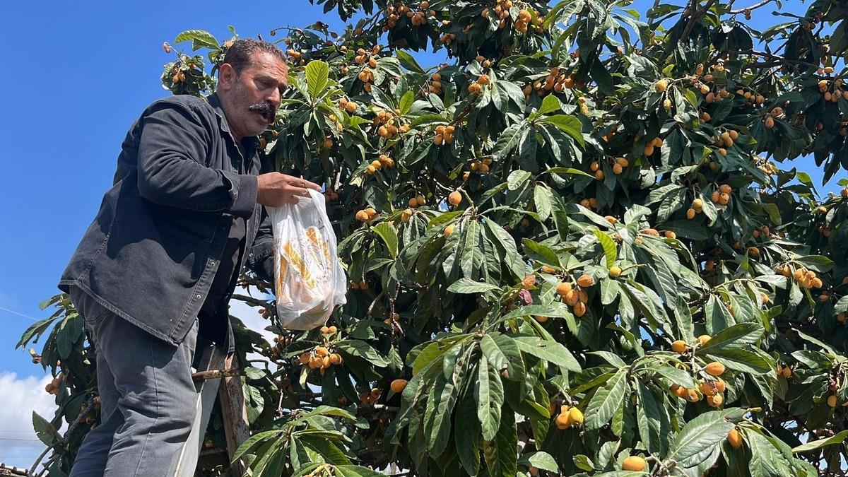 Bir zamanların g&ouml;zdesiydi, şimdi &uuml;cretsiz dağıtılıyor!  4