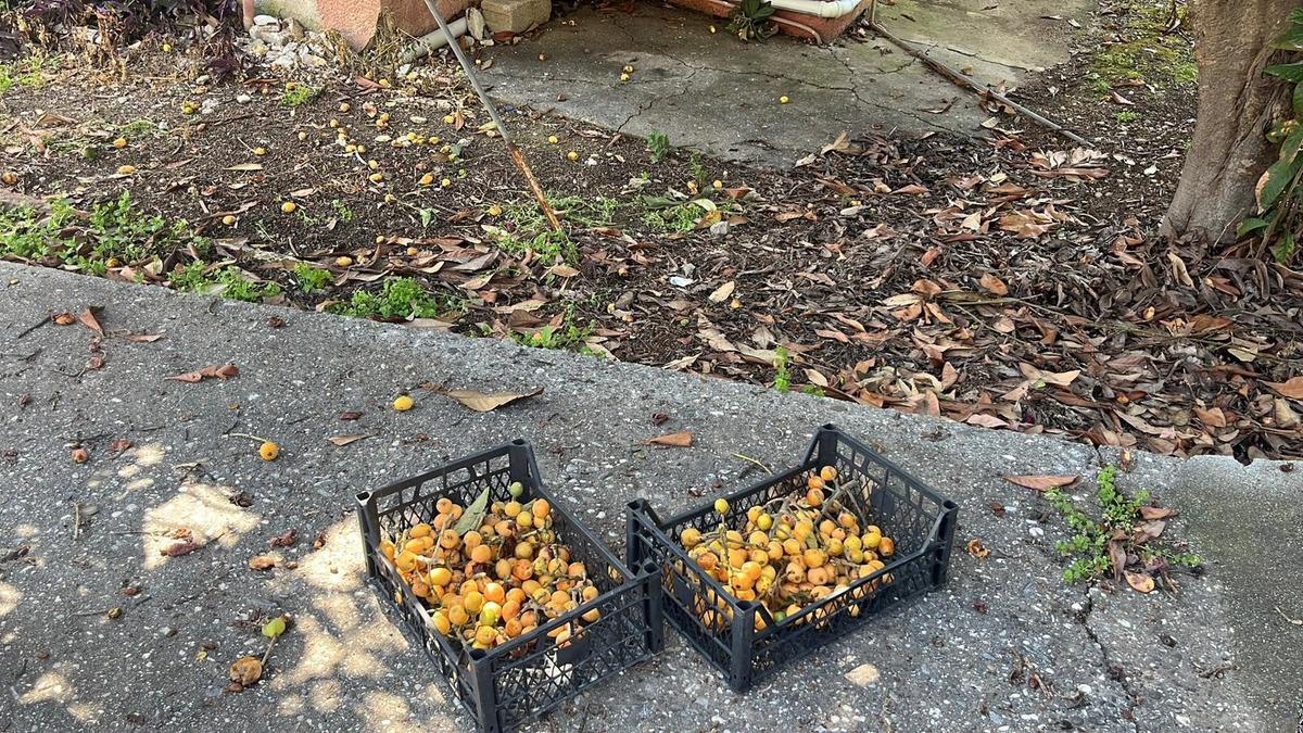 Bir zamanların g&ouml;zdesiydi, şimdi &uuml;cretsiz dağıtılıyor!  5