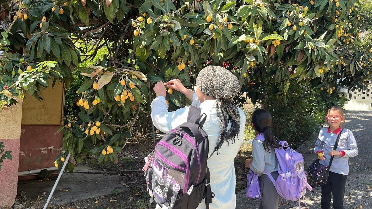 Bir zamanların g&ouml;zdesiydi, şimdi &uuml;cretsiz dağıtılıyor!  6