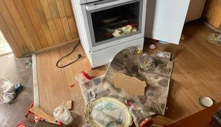 Kış uykusu bitti, ayı istilası başladı