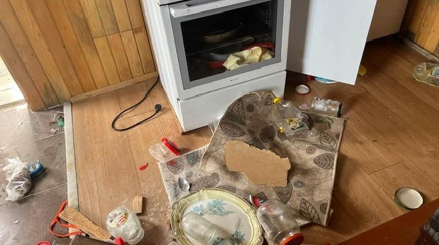 Kış uykusu bitti, ayı istilası başladı