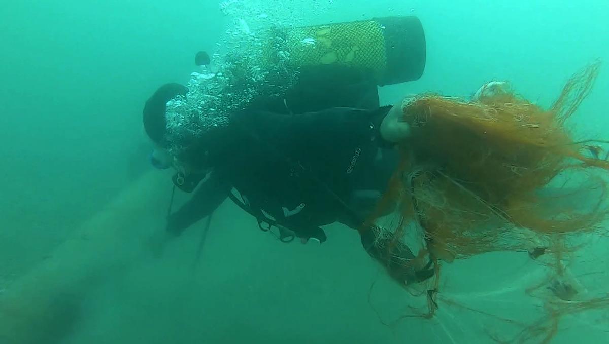 1,5 milyon deniz canlısı kurtarıldı:  Hayalet ağlar  temizlendi! 2