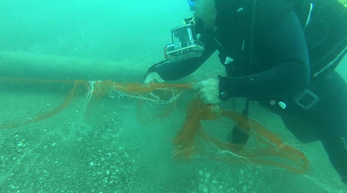 1,5 milyon deniz canlısı kurtarıldı:  Hayalet ağlar  temizlendi! 1