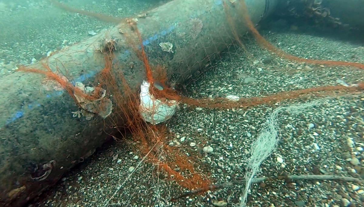 1,5 milyon deniz canlısı kurtarıldı:  Hayalet ağlar  temizlendi! 4