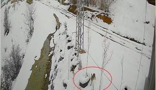 Bayburt&rsquo;ta nefes kesen kovalamaca: Tavşanın kurdu atlattığı anlar kamerada