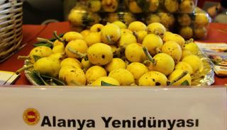 Coğrafi işaretli &uuml;r&uuml;nlerin AB tescil s&uuml;reci hızlandı