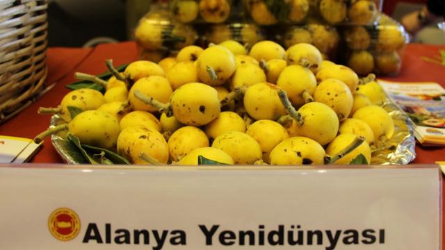 Coğrafi işaretli ürünlerin AB tescil süreci hızlandı