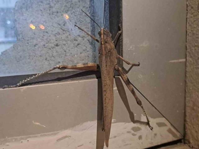 Yer: Diyarbakır! G&ouml;renler adeta dondu kaldı