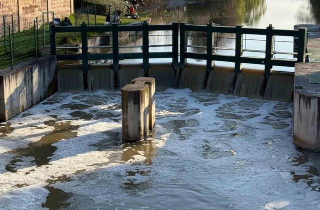 Porsuk &Ccedil;ayı&rsquo;nın y&uuml;zeyi k&ouml;p&uuml;kle kaplandı 1