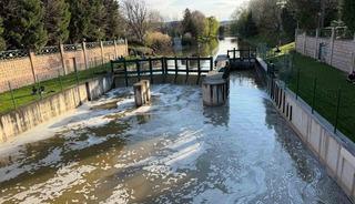 Porsuk &Ccedil;ayı&rsquo;nın y&uuml;zeyi k&ouml;p&uuml;kle kaplandı