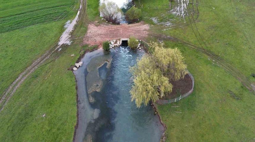 Leyleklerin durağı yemyeşil g&ouml;r&uuml;nt&uuml;s&uuml;yle mest ediyor