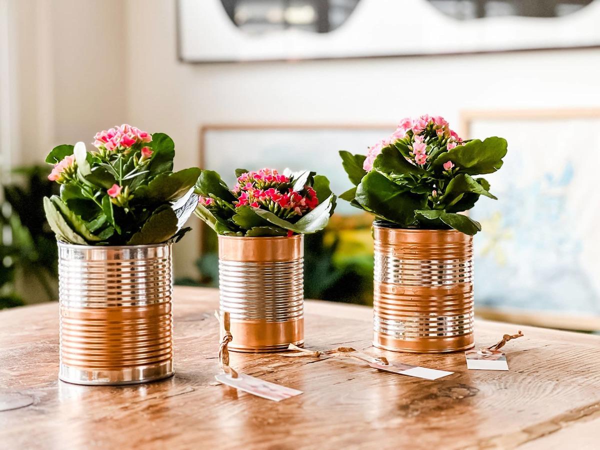 İleri D&ouml;n&uuml;ş&uuml;m (Upcycling) İle Eski Eşyaların Değerini Katlama Sanatı 4
