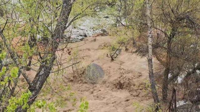 Aşırı yağışlar sonrası Munzur Vadisi’nde sel meydana geldi