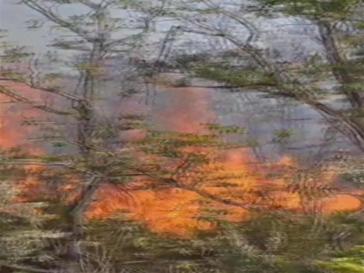 &Ccedil;atalca da ormanlık alanda &ccedil;ıkan yangın s&ouml;nd&uuml;r&uuml;ld&uuml; 1